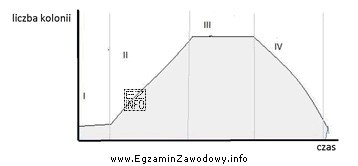 Na wykresie przedstawiającym krzywą wzrostu bakterii, cyfrą IV oznaczono 