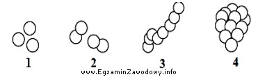 Na rysunku przedstawiającym formy kolonii bakterii cyfrą 4 oznaczono