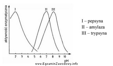 Na wykresie przedstawiono zależność aktywności enzymów 