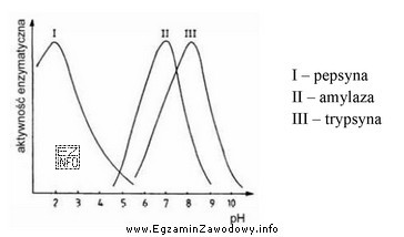 Na wykresie przedstawiono zależność aktywności enzymów 