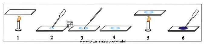 Rysunek przedstawia poszczególne etapy wykonania preparatu mikroskopowego utrwalonego. Cyfrą 3 