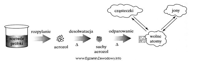 Na schemacie przedstawiono procesy, które zachodzą podczas przygotowania pró