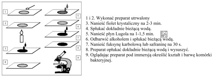 Zamieszczone rysunki z ich opisem przedstawiają barwienie