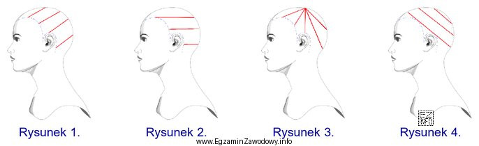 Wskaż rysunek przedstawiający podział włosów, który 