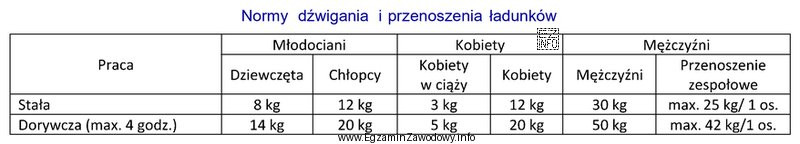 Masa przedmiotów podnoszonych i przenoszonych przez jednego pracownika - 