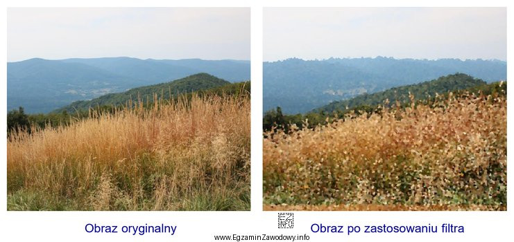 Na ilustracjach przedstawiono efekt zastosowania w programie Adobe Photoshop filtra