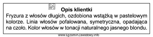 Przedstawiony opis dotyczy klientki, która jest reprezentantką stylu