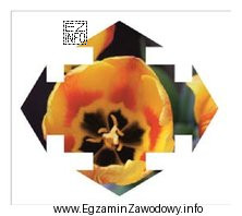 W celu umieszczenia obrazu rastrowego w obiekcie wektorowym należy 