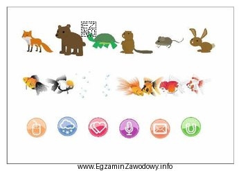 Które narzędzie umożliwia w programie CorelDRAW korzystanie 