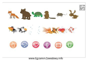 Które narzędzie umożliwia w programie CorelDRAW korzystanie 