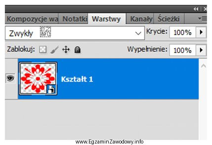 Na rysunku przedstawiono panel programu Adobe Photoshop zawierający warstwę