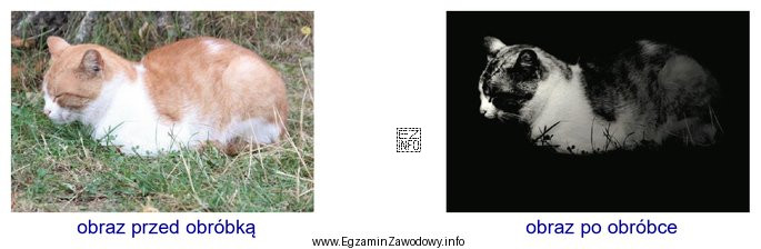 Wykonując w programie Adobe Photoshop stylizację zdjęcia w 