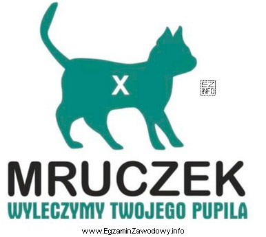 Jak jest nazywany element graficzny logo oznaczony na rysunku symbolem 