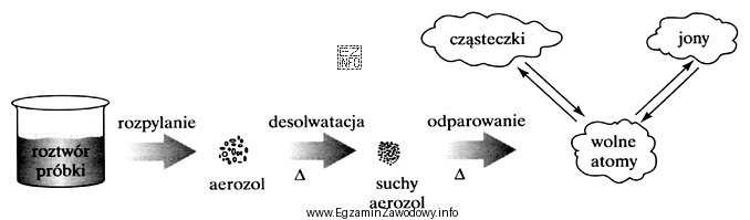 Na schemacie przedstawiono procesy, które zachodzą podczas przygotowania pró