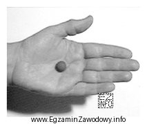 Na fotografii przedstawiono próbkę gruntu przygotowaną do wykonania