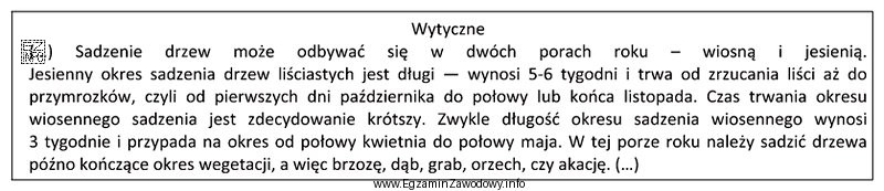 Obsadzenie pasa drogowego brzozami, zgodnie z przedstawionymi wytycznymi, powinno nastą