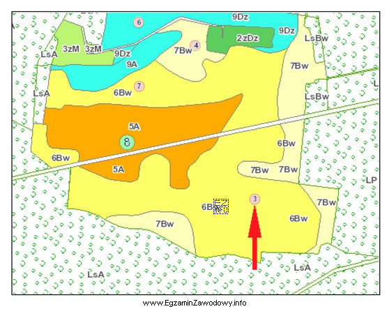 Na przedstawionym fragmencie mapy glebowo-rolniczej czerwoną strzałką wskazano