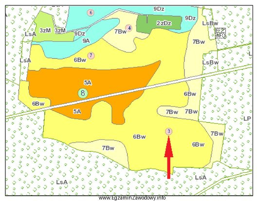 Na przedstawionym fragmencie mapy glebowo-rolniczej czerwoną strzałką wskazano