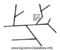Który układ sieci gazowej przedstawia się w postaci 