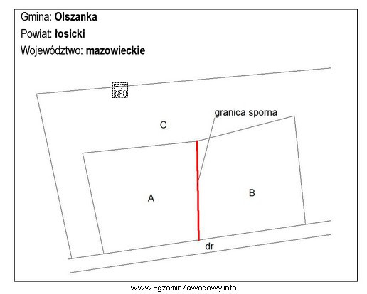 Kto upoważnia geodetę do przeprowadzenia czynności rozgraniczeniowych, w 