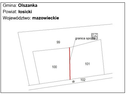 Kto upoważnia geodetę do przeprowadzenia czynności rozgraniczeniowych, w 