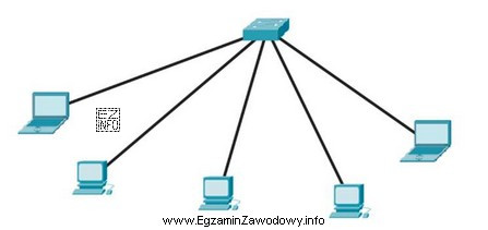 Którą fizyczną topologię sieci przedstawia rysunek?