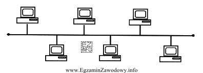 Na rysunku przedstawiono sieć o topologii