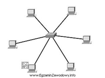 Rysunek przedstawia fizyczną topologię