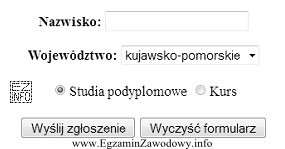 Które z pól są umieszczone w formularzu?