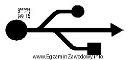 Który port jest oznaczony przedstawionym symbolem graficznym?