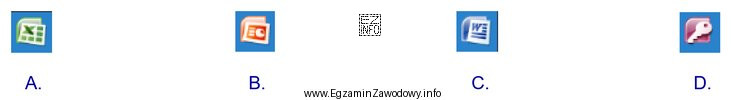 Która ikona programu Microsoft Office jest domyślnie przypisana 