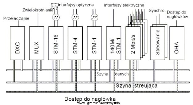 Rysunek przedstawia strukturę sieci