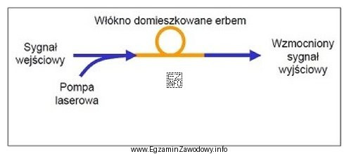 Który wzmacniacz światłowodowy został przedstawiony na rysunku?
