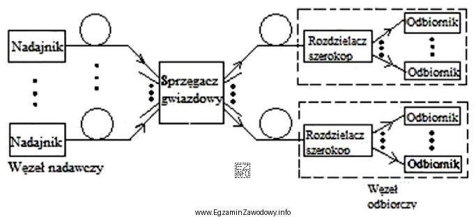 Jaką topologię sieci szerokopasmowych WDM przedstawia rysunek?