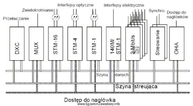 Rysunek przedstawia strukturę sieci