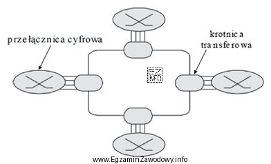 Który system transmisyjny reprezentuje struktura przedstawiona na rysunku?