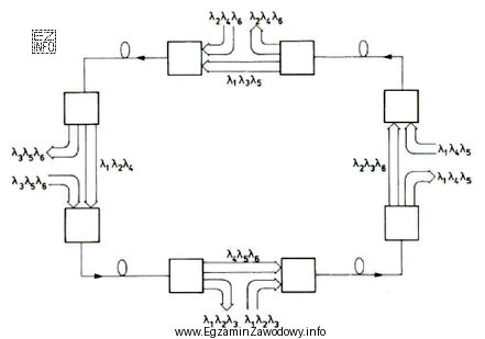 Którą topologię selektywnych sieci optycznych WDM przedstawiono na rysunku?