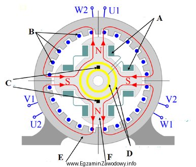 Na ilustracji przekroju generatora synchronicznego uzwojenie stojana oznaczono