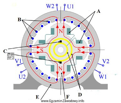 Na ilustracji przekroju generatora synchronicznego uzwojenie stojana oznaczono