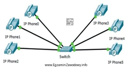 Określ topologię fizyczną sieci telekomunikacyjnej przedstawionej na rysunku?