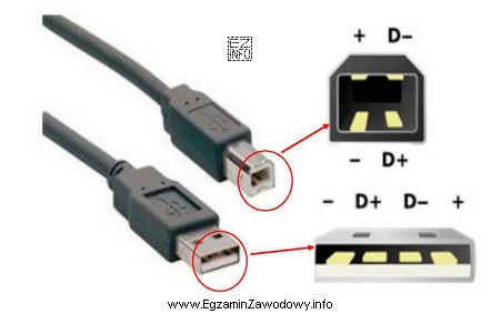 Ile żył powinien posiadać przewód zakończony z 