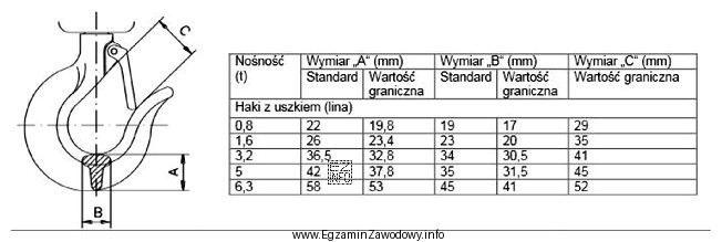 Na podstawie zamieszczonego fragmentu procedury przeglądu, hak o noś