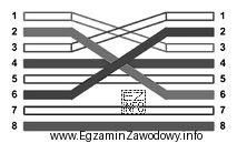 Kabel sieciowy krosowany, w którym przewody ułożone 