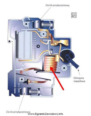 Jaką funkcję w wyłączniku nadprądowym pełni 