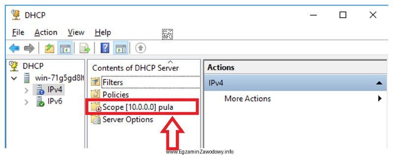 W systemie serwerowym Windows widoczny jest zakres adresów IPv4. 