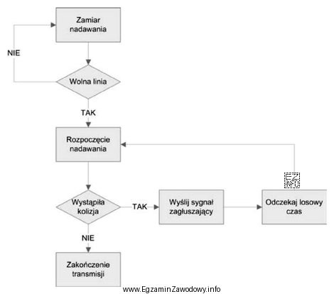 Topologia logiczna, której mechanizm działania jest pokazany na 