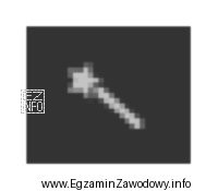 Przedstawiona ikona funkcji edytora grafiki rastrowej o nazwie 
