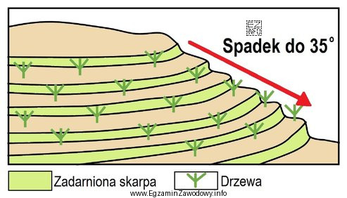 Którą metodę zabezpieczenia rekultywowanego zwałowiska przed osuwaniem przedstawiono 