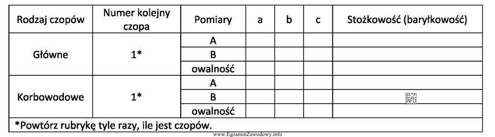 W zamieszczonej tabeli wpisuje się informacje dotyczące pomiaru