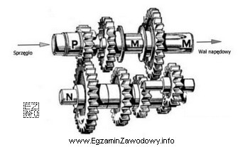 Którą skrzynię biegów pokazano na ilustracji?